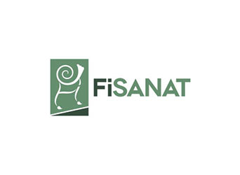Eskişehir Fi Sanat